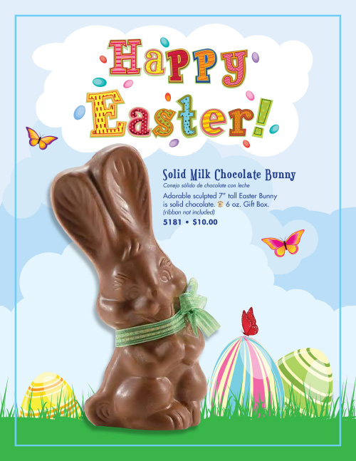 Solid Chocolate Easter Bunny | WOW! Fundraising